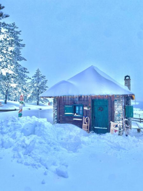 Vila Mali Tornik Zlatibor